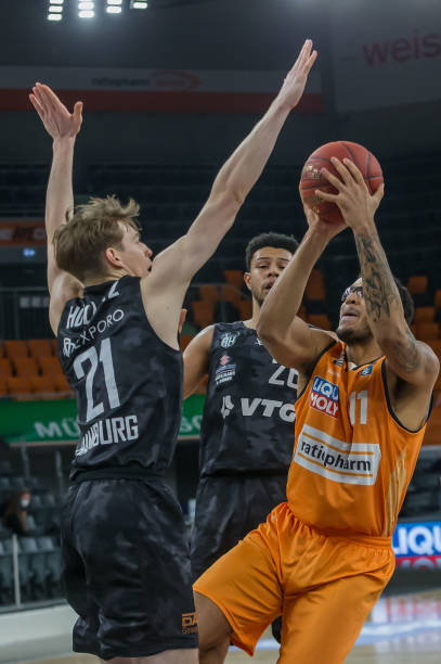 在最佳环境 在最佳环境